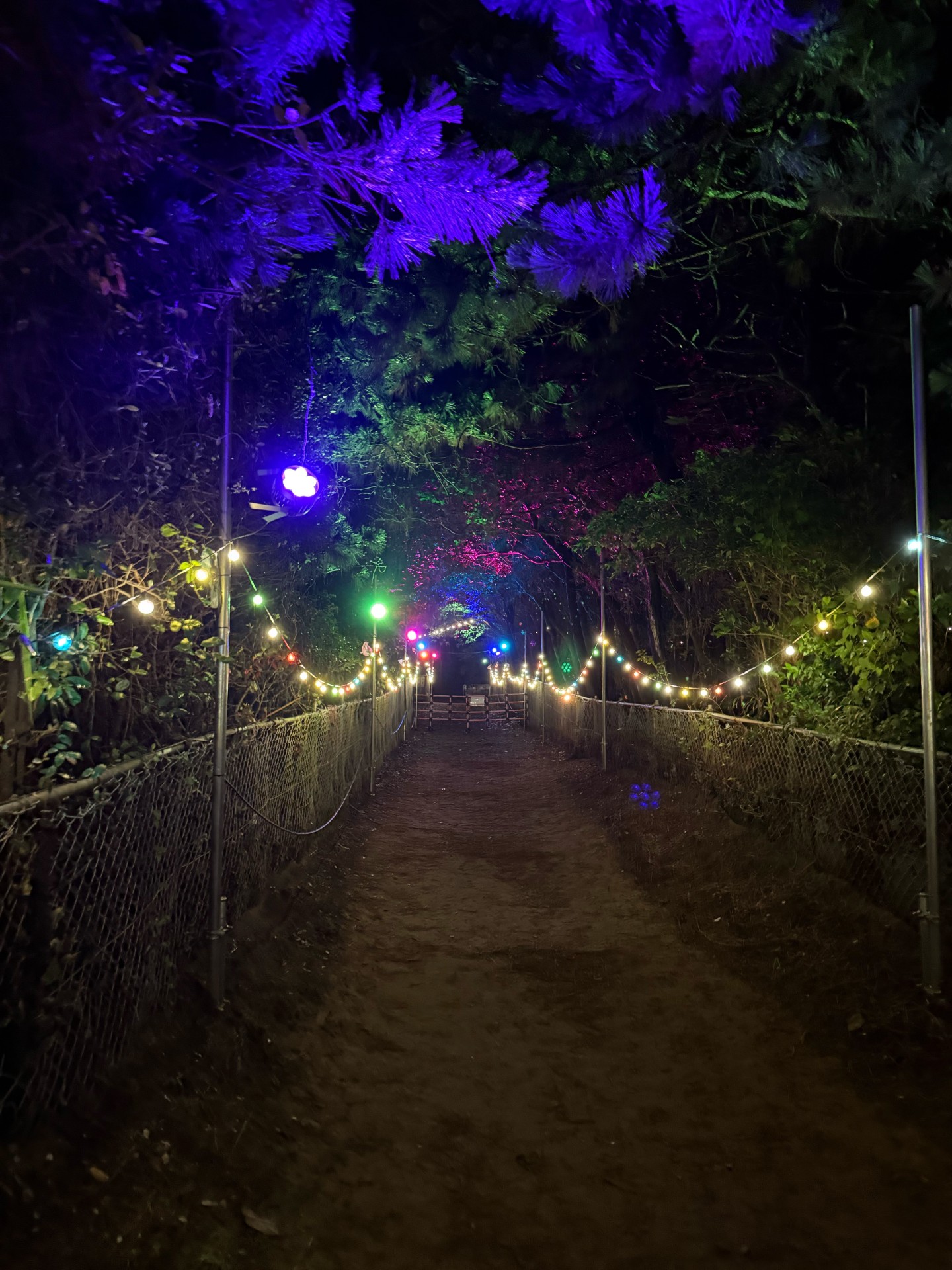 イベント事業の風景 PHOTO 31